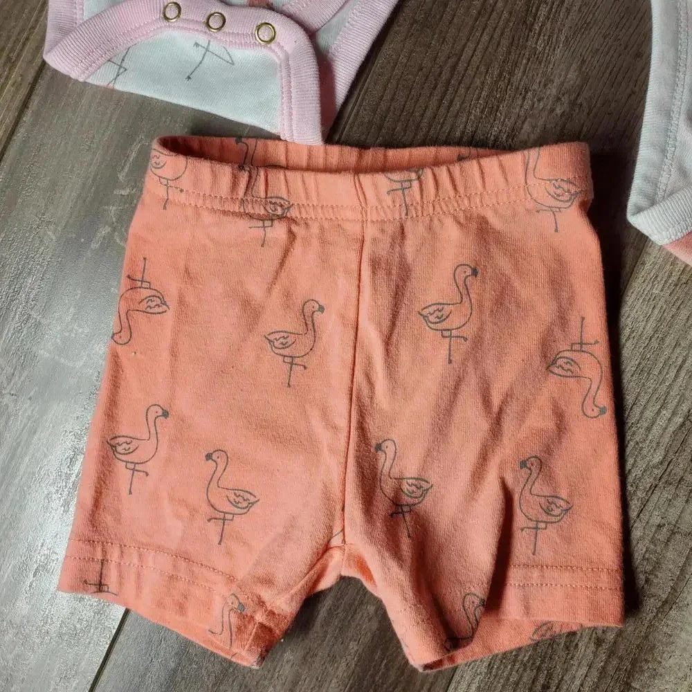 Cloud Island Baby Girl 4 Piece Flamingo Coral Pink Set Size 3-6M NWOT